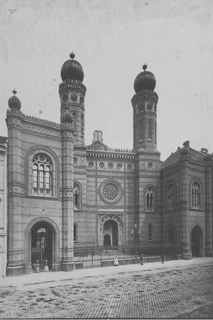 Анна Чайковская - Триумф красной герани. Книга о Будапеште