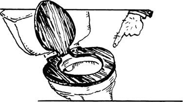 Сью Таунсенд - Признания Адриана Моула