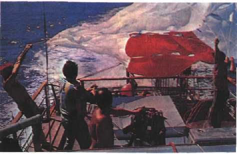 Жак-Ив Кусто, Филипп Диоле - Могучий властелин морей