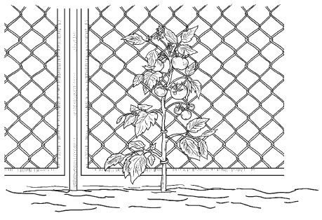 Сергей Кашин - Теплицы и парники