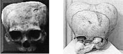 Роман Доля - Книга древних пророчеств. О чем молчат камни