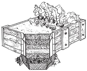 Светлана Чебаева - Богатый урожай овощей на вашем участке. В помощь любимым...