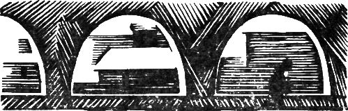 З. Фазин - За великое дело любви