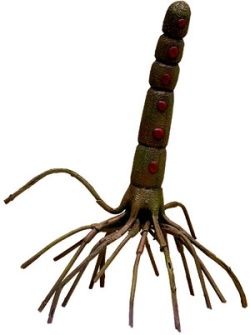 коллектив авторов - WH40K Флафф Библия Ксеносов