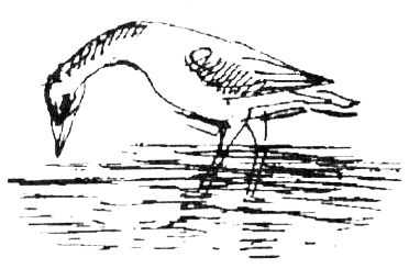 Джордж Майкл - Семья Майклов в Африке