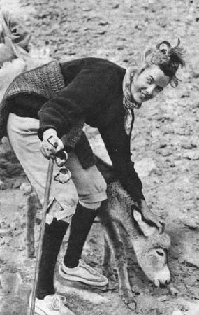 Мишель Пессель - Золото муравьев