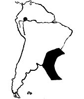 Аркадий Фидлер - Рыбы поют в Укаяли