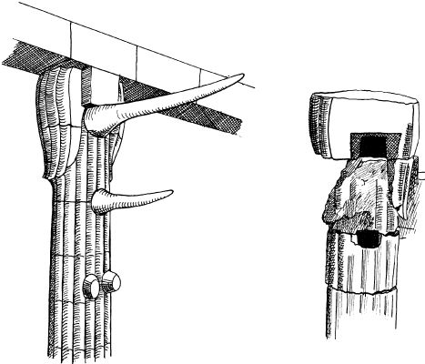 Ахмед Фахри - Древние загадки фараонов