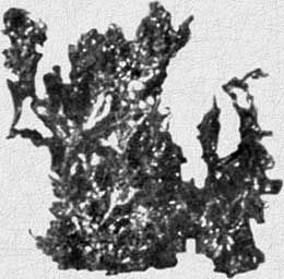 Валерий Хорев, Михаил Ингерлейб - Твой нож