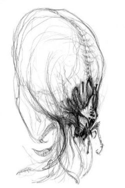 коллектив авторов - WH40K Флафф Библия Ксеносов