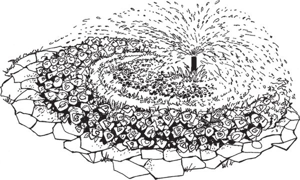 Сергей Кашин - Умное цветоводство круглый год на даче и дома