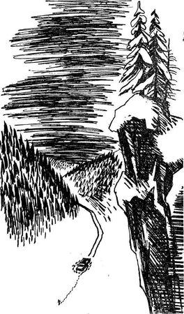 Игорь Бестужев-Лада, Анатолий Безуглов и др. - Отвага