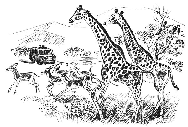 Джордж Майкл - Семья Майклов в Африке