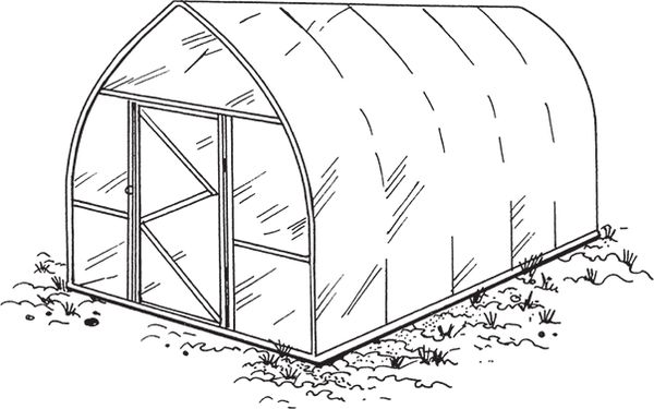 Сергей Кашин - Умное цветоводство круглый год на даче и дома