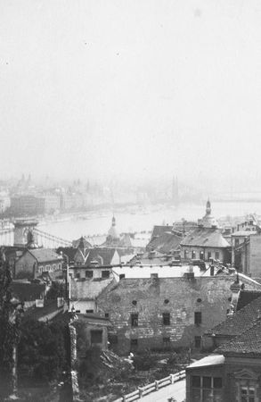 Анна Чайковская - Триумф красной герани. Книга о Будапеште