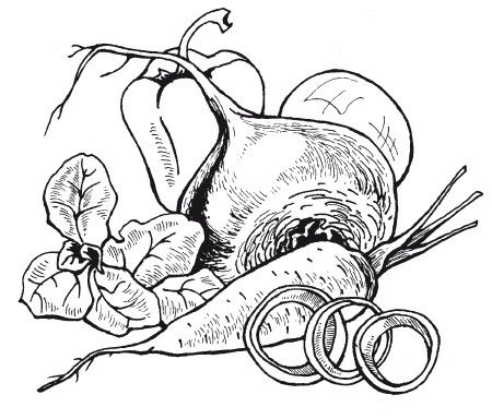 Ольга Сладкова - Летние супы, окрошки, свекольники и другие. Готовим, как...