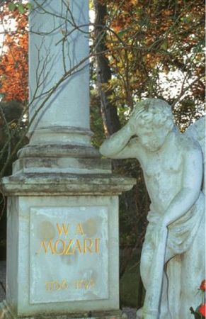 Эвелин Штриглер - Вена. Путеводитель