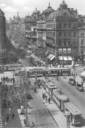 Анна Чайковская - Триумф красной герани. Книга о Будапеште