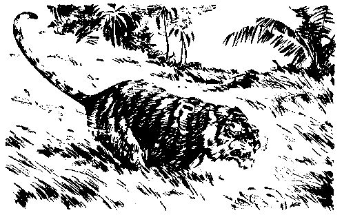 Жозеф Рони-старший - Борьба за огонь. Пещерный лев