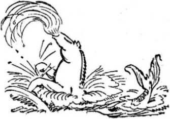 Коллектив авторов, Михаил Фоменко - Интервью о морском змее