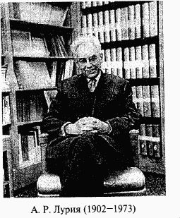 Валерий Шульговский - Основы нейрофизиологии