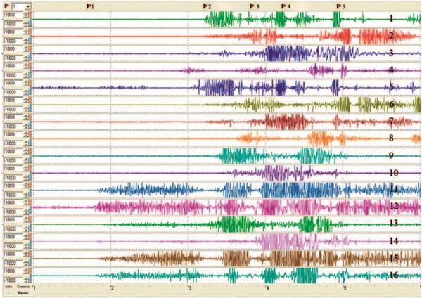 Вячеслав Шляхтов, Руслан Городничев - Физиология силы