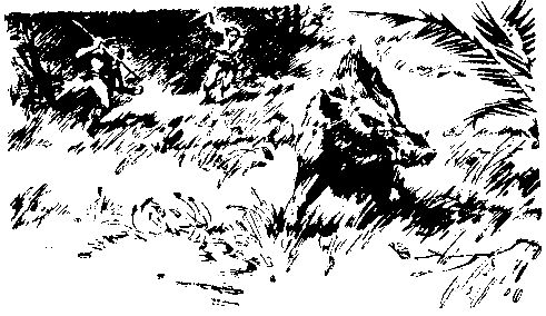 Жозеф Рони-старший - Борьба за огонь. Пещерный лев