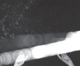 Виталий Тихоплав, Татьяна Тихоплав - Солнечный ветер