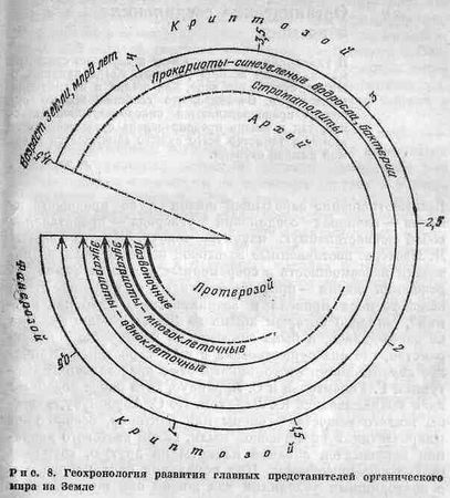 Георгий Войткевич - Возникновение и развитие жизни на Земле