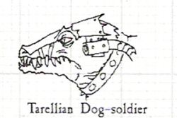 коллектив авторов - WH40K Флафф Библия Ксеносов