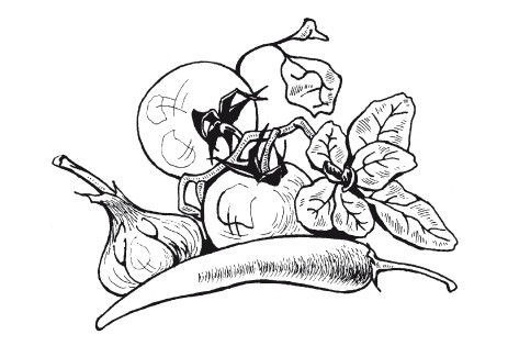 Ольга Сладкова - Летние супы, окрошки, свекольники и другие. Готовим, как...