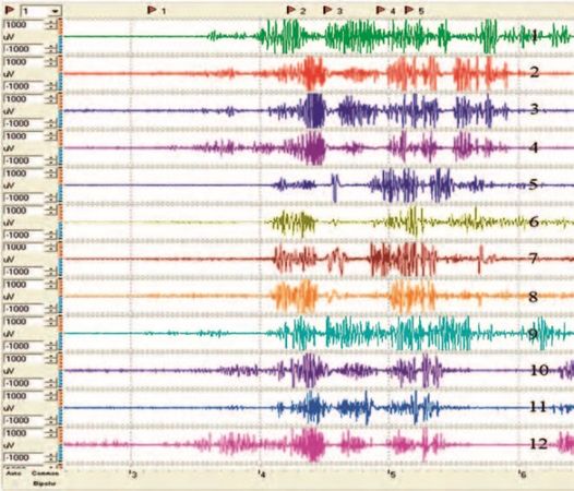 Вячеслав Шляхтов, Руслан Городничев - Физиология силы