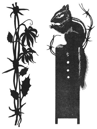 Анатолий Жигулин - Летящие дни