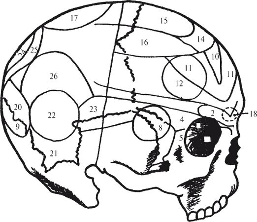 Николай Равенский - Как читать человека. Черты лица, жесты, позы, мимика