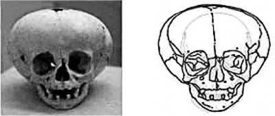 Роман Доля - Книга древних пророчеств. О чем молчат камни