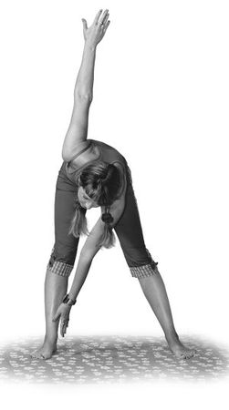 Ольга Дан - 365 шагов к стройности. Циклическая программа "Идеальный вес"