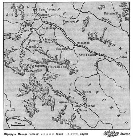 Мишель Пессель - Золото муравьев