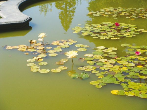 Олёна Ростова - По осколкам