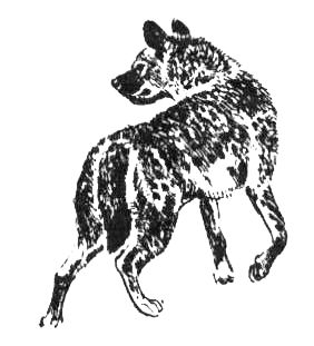 Джордж Майкл - Семья Майклов в Африке