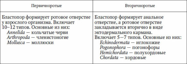 Николай Курчанов - Антропология и концепции биологии