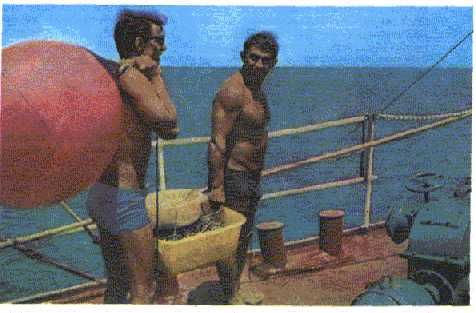 Жак-Ив Кусто, Филипп Диоле - Могучий властелин морей