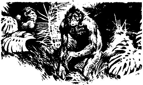 Жозеф Рони-старший - Борьба за огонь. Пещерный лев