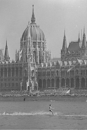 Анна Чайковская - Триумф красной герани. Книга о Будапеште