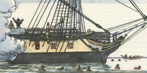 Николай Чуковский - Капитан Крузенштерн