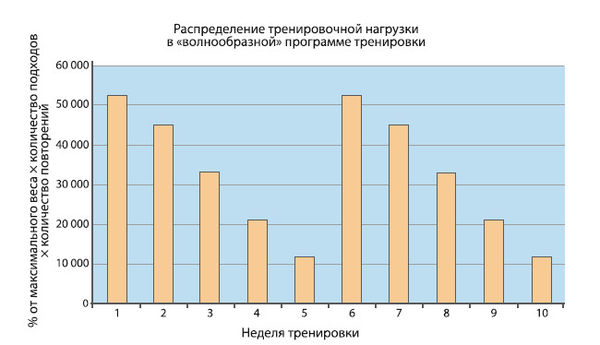 Вячеслав Шляхтов, Руслан Городничев - Физиология силы