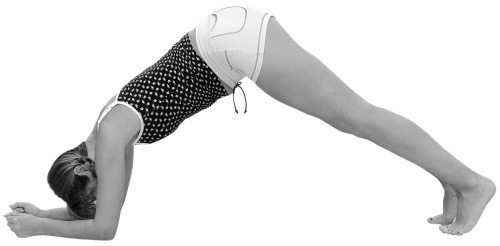 Ольга Дан - 365 шагов к стройности. Циклическая программа "Идеальный вес"