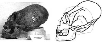 Роман Доля - Книга древних пророчеств. О чем молчат камни
