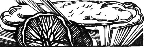 З. Фазин - За великое дело любви