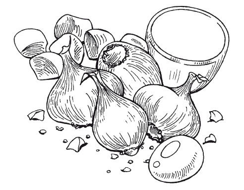 Ольга Сладкова - Летние супы, окрошки, свекольники и другие. Готовим, как...