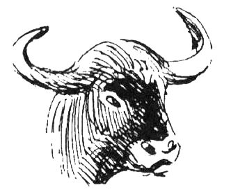 Джордж Майкл - Семья Майклов в Африке